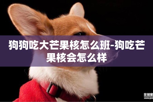 狗狗吃大芒果核怎么班-狗吃芒果核會怎么樣