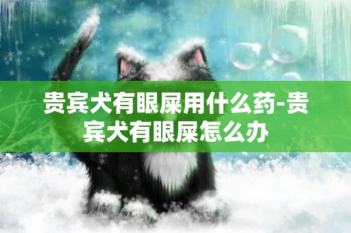貴賓犬有眼屎用什么藥-貴賓犬有眼屎怎么辦