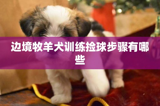 邊境牧羊犬訓練撿球步驟有哪些