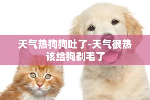 天氣熱狗狗吐了-天氣很熱該給狗剃毛了