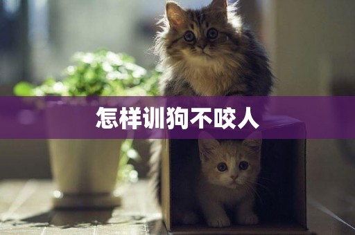 怎樣訓狗不咬人