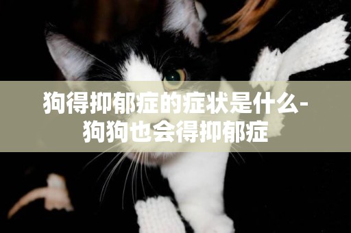 狗得抑郁癥的癥狀是什么-狗狗也會得抑郁癥