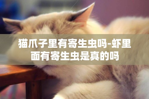 貓爪子里有寄生蟲嗎-蝦里面有寄生蟲是真的嗎