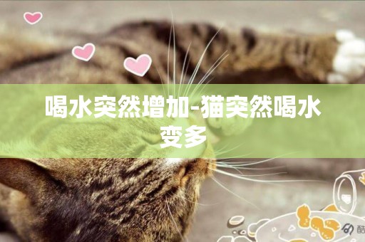 喝水突然增加-貓突然喝水變多