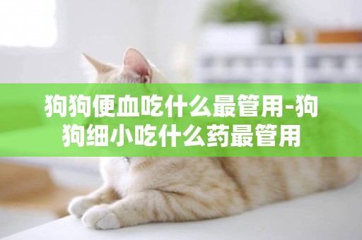 狗狗便血吃什么最管用-狗狗細小吃什么藥最管用