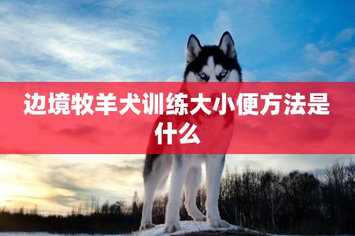 邊境牧羊犬訓練大小便方法是什么