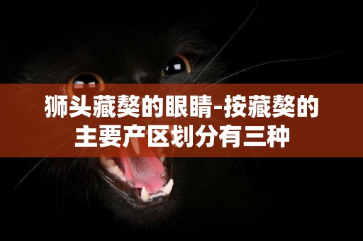 獅頭藏獒的眼睛-按藏獒的主要產區劃分有三種