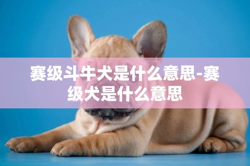 賽級斗牛犬是什么意思-賽級犬是什么意思