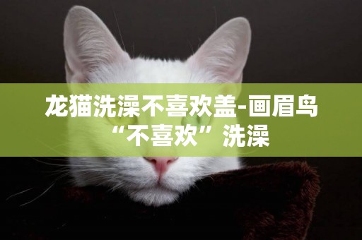 龍貓洗澡不喜歡蓋-畫眉鳥“不喜歡”洗澡