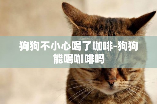 狗狗不小心喝了咖啡-狗狗能喝咖啡嗎