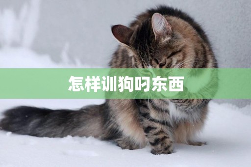 怎樣訓狗叼東西