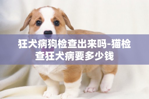 狂犬病狗檢查出來嗎-貓檢查狂犬病要多少錢
