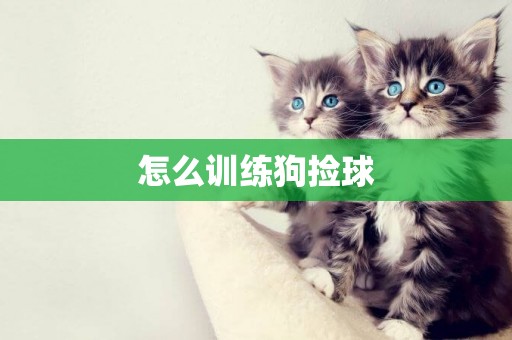 怎么訓練狗撿球