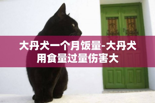 大丹犬一個月飯量-大丹犬用食量過量傷害大
