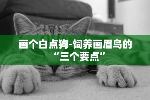 畫個白點狗-飼養畫眉鳥的“三個要點”