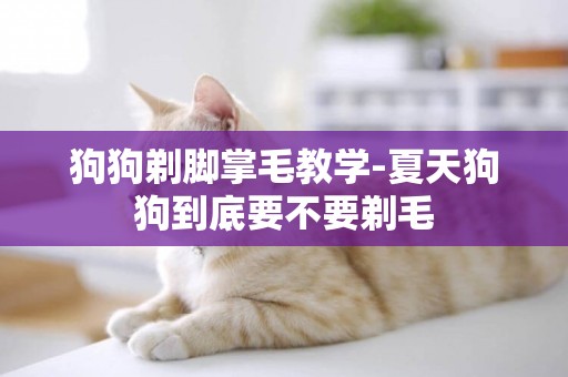 狗狗剃腳掌毛教學-夏天狗狗到底要不要剃毛