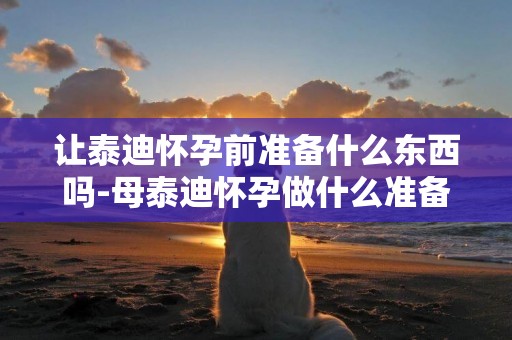 讓泰迪懷孕前準備什么東西嗎-母泰迪懷孕做什么準備