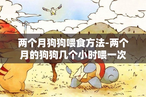兩個月狗狗喂食方法-兩個月的狗狗幾個小時喂一次