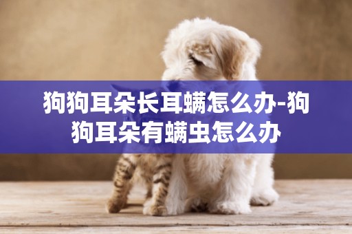 狗狗耳朵長耳螨怎么辦-狗狗耳朵有螨蟲怎么辦