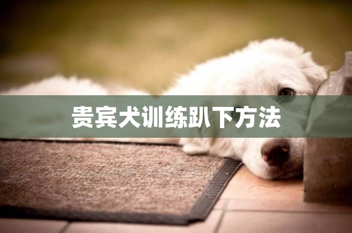 貴賓犬訓練趴下方法