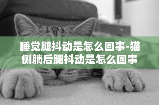 睡覺腿抖動是怎么回事-貓側躺后腿抖動是怎么回事