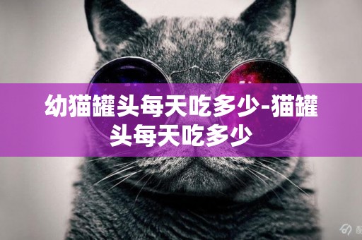 幼貓罐頭每天吃多少-貓罐頭每天吃多少