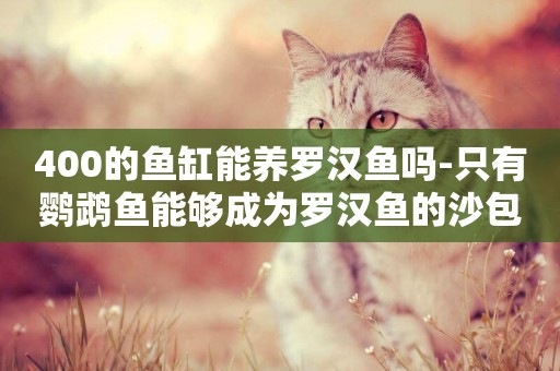 400的魚缸能養羅漢魚嗎-只有鸚鵡魚能夠成為羅漢魚的沙包
