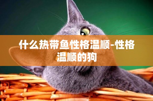 什么熱帶魚性格溫順-性格溫順的狗