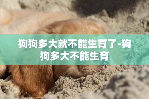 狗狗多大就不能生育了-狗狗多大不能生育