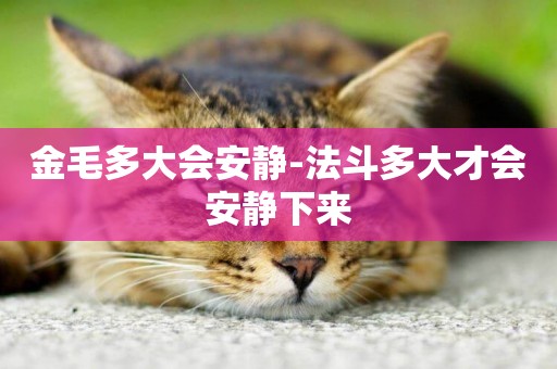 金毛多大會安靜-法斗多大才會安靜下來