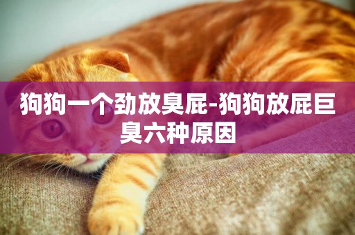 狗狗一個勁放臭屁-狗狗放屁巨臭六種原因