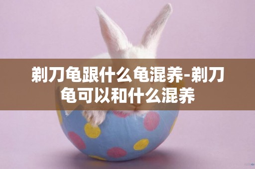 剃刀龜跟什么龜混養-剃刀龜可以和什么混養
