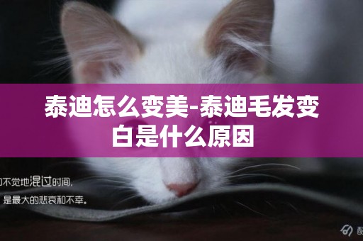 泰迪怎么變美-泰迪毛發變白是什么原因