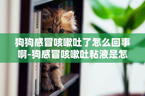 狗狗感冒咳嗽吐了怎么回事啊-狗感冒咳嗽吐粘液是怎么回事