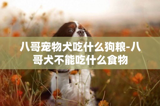 八哥寵物犬吃什么狗糧-八哥犬不能吃什么食物
