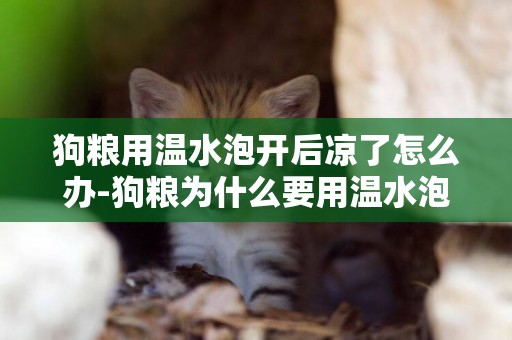 狗糧用溫水泡開后涼了怎么辦-狗糧為什么要用溫水泡