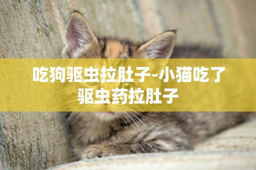 吃狗驅蟲拉肚子-小貓吃了驅蟲藥拉肚子