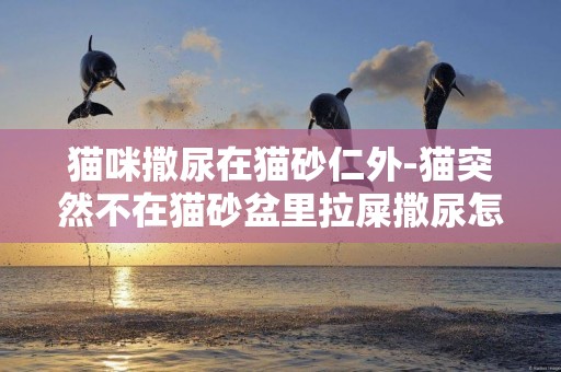 貓咪撒尿在貓砂仁外-貓突然不在貓砂盆里拉屎撒尿怎么辦