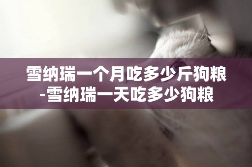 雪納瑞一個月吃多少斤狗糧-雪納瑞一天吃多少狗糧