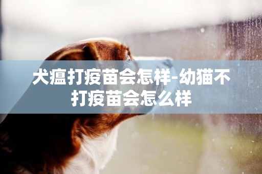 犬瘟打疫苗會怎樣-幼貓不打疫苗會怎么樣