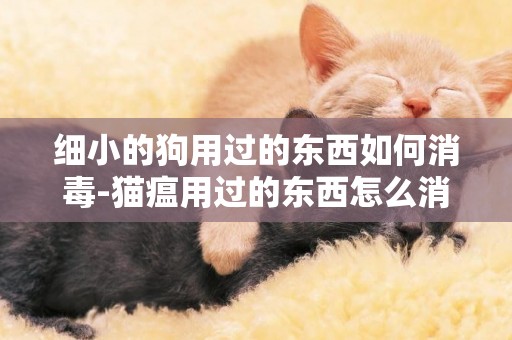 細小的狗用過的東西如何消毒-貓瘟用過的東西怎么消毒
