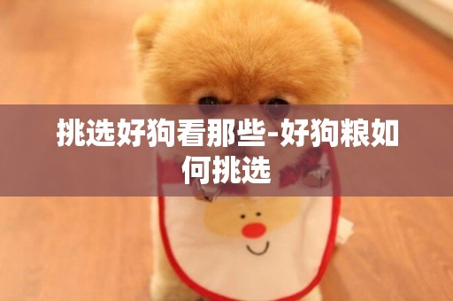 挑選好狗看那些-好狗糧如何挑選