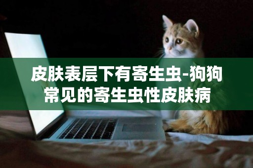 皮膚表層下有寄生蟲-狗狗常見的寄生蟲性皮膚病