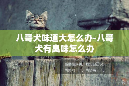 八哥犬味道大怎么辦-八哥犬有臭味怎么辦