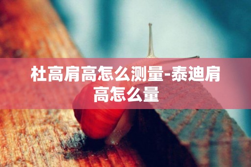 杜高肩高怎么測量-泰迪肩高怎么量