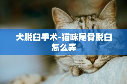 犬脫臼手術-貓咪尾骨脫臼怎么弄