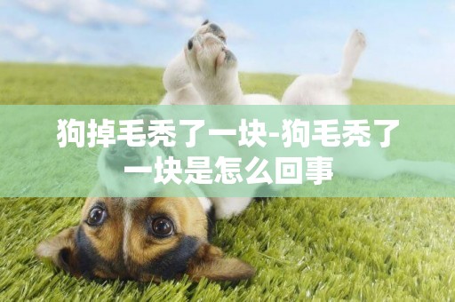 狗掉毛禿了一塊-狗毛禿了一塊是怎么回事