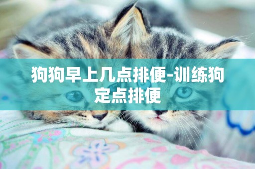 狗狗早上幾點排便-訓練狗定點排便
