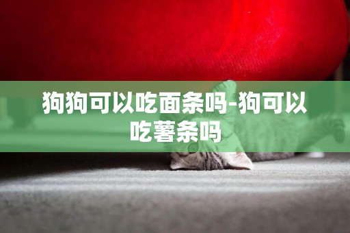 狗狗可以吃面條嗎-狗可以吃薯條嗎