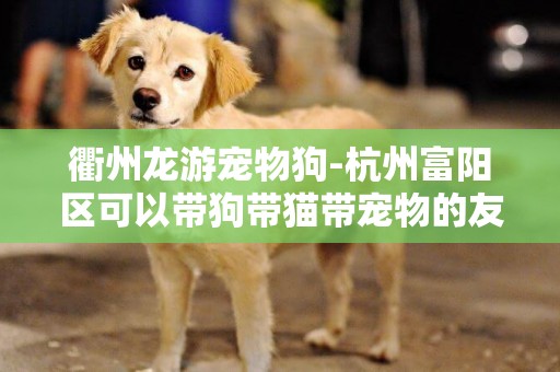 衢州龍游寵物狗-杭州富陽區可以帶狗帶貓帶寵物的友好景點